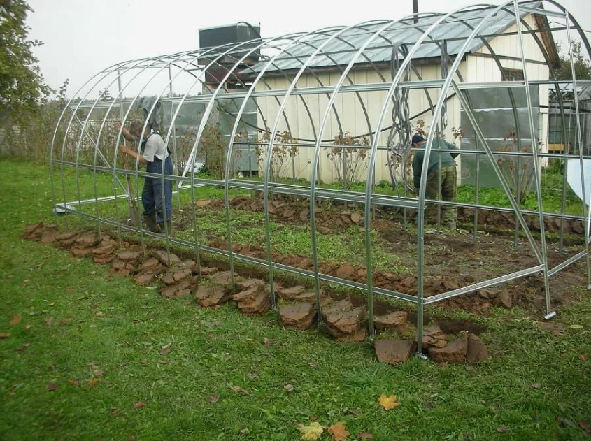 Снег в теплице - фото 1