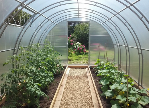 ' - картинка ''